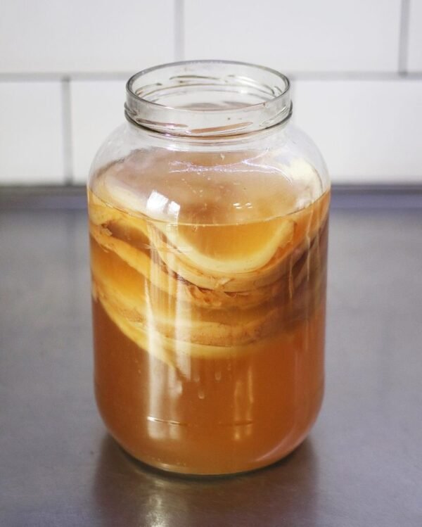 Kombucha