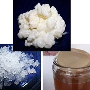 KITS DE FERMENTACION