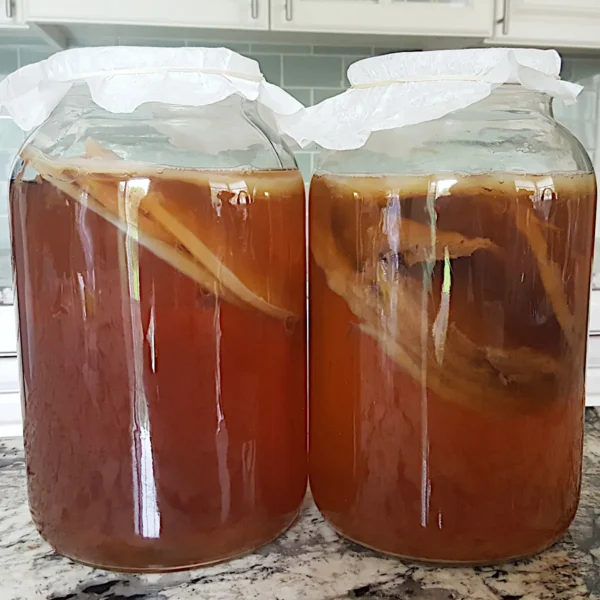 SCOBY